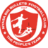 大子弹logo