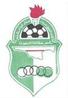 卡利杰星队logo